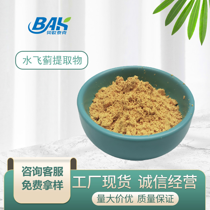 水飞蓟提取物10:1水飞蓟粉水飞蓟素多比例现货直发欢迎咨询选购