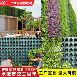 户外垂直立体植物墙种植槽绿化市政工程围挡真绿植墙植物种植盒子