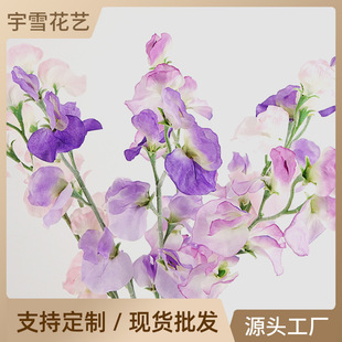 ���|���滨��֦�㶹�����s�ҾӲ����b[�������c�����ٻ����l