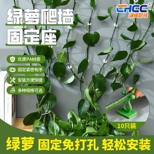 �S�����l�G�}�����̶������ϱ��z���A����������������Ť���h