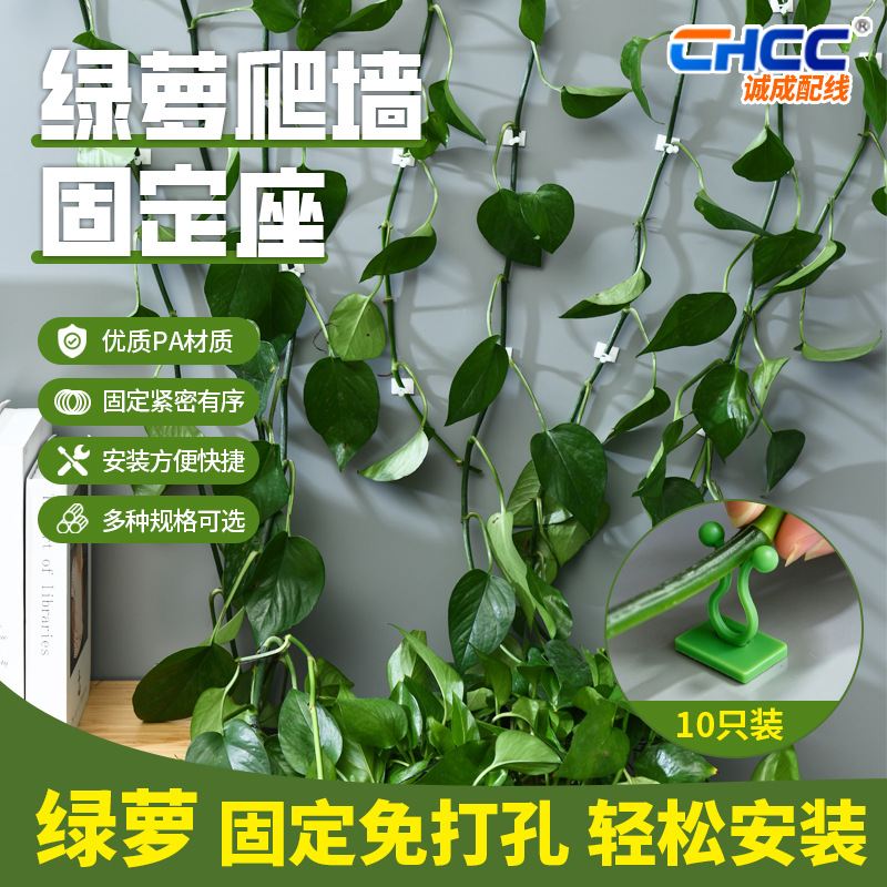 厂家批发绿萝爬墙固定器塑料背胶线夹藤蔓线扣攀爬理线扭线环