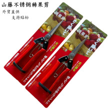 山藤稀果剪修枝剪园艺剪刀剪树枝专用修花剪盆景工具剪刀疏果剪
