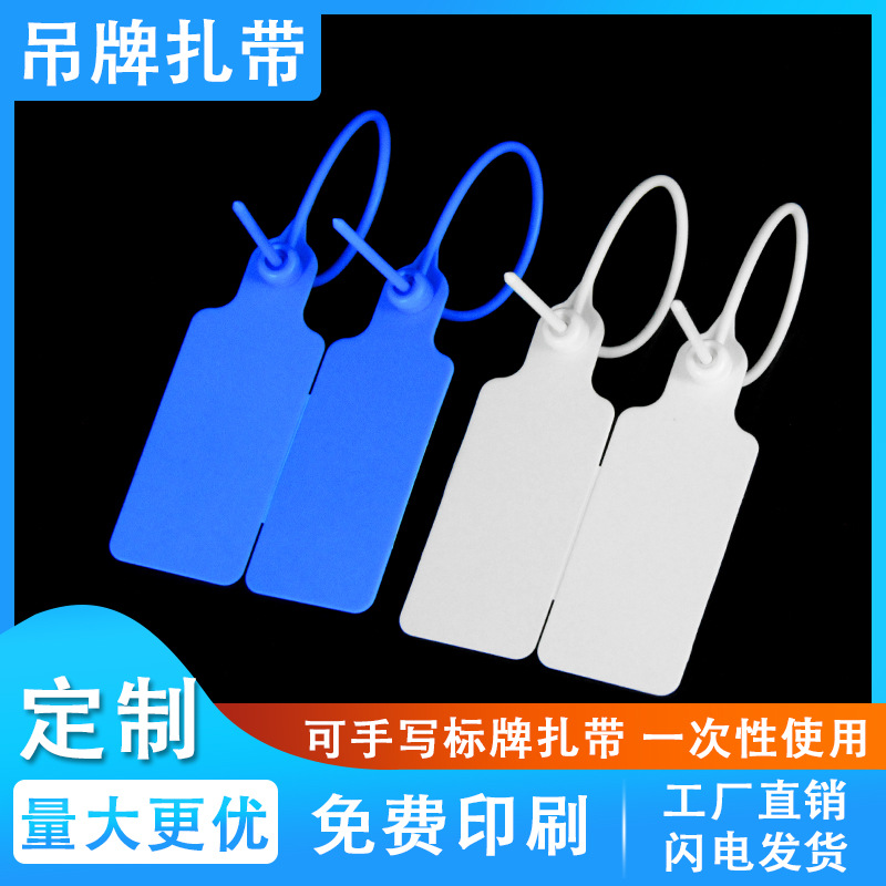 批发塑料封条一次性 大标牌标签扎带 箱子物流快递铅封可手写吊牌