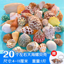 貝殼海螺海星魚缸造景裝飾 打孔diy風鈴漂流瓶材料包擺件