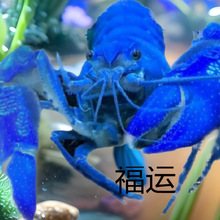 ����^�p�r���w�{ħ�����r��M��ˮ�����]�r����ˮ��С���r�t��