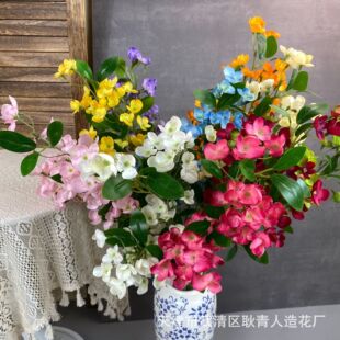 �¿�����ָ��c��Y����̨�ɂȲ���·����������ˇܛ�b���滨�b�