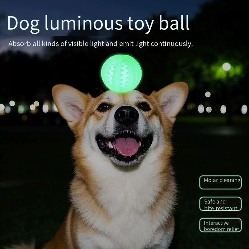 Трансграничные светящиеся домашние собаки пропускают игрушечные шарики