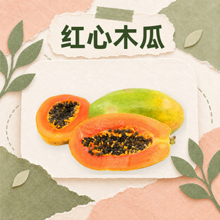 �V���t��ľ�� һ�����l�f�۹��t�������֭�������l�������rˮ��