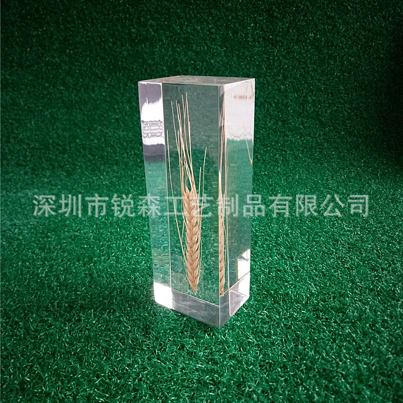 Espécimes de espiga de trigo embutidos com cola de cristal, ornamentos quadrados de exibição de plantas embutidas em fundição de resina, artesanato em acrílico