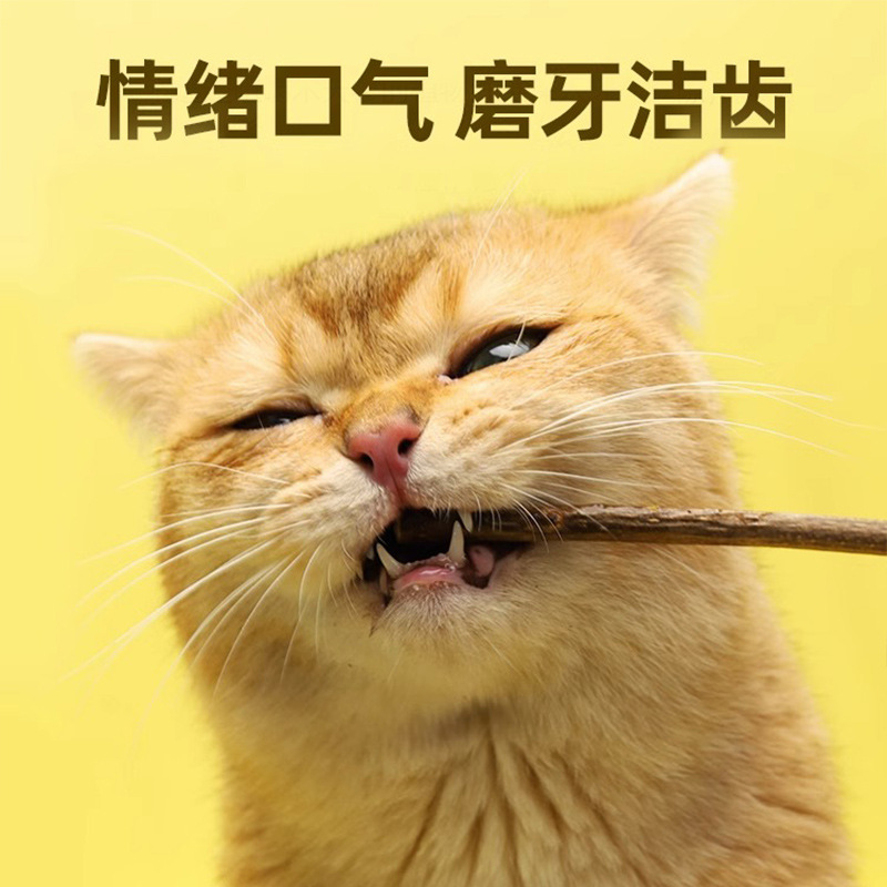 Pallas de madera para gatos, dientes de gato, menta para gatos, barras de gato, dientes de limpieza para gatos pequeños, hierba para mascotas, bocadillos para gatos