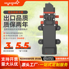 12V压力泵小型电动隔膜增压水泵高压0.8Mpa防干烧可自吸5.5