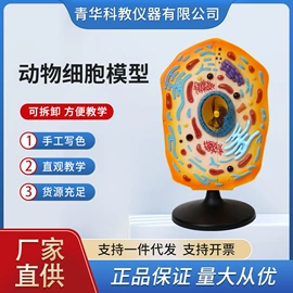 数理教学器材;教学演示用品;生物教学器材