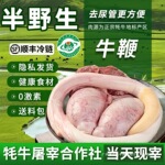 牛鞭新鲜原割全套牛蛋牛宝牛三宝整只现杀冷冻煲汤材料青海牦牛肉