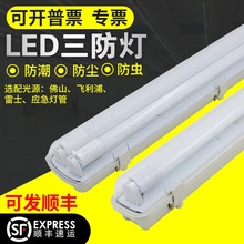 三防灯LED全套带罩T8单双管长条1.2米防水防尘防虫防爆日光灯支架