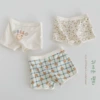 [N124夏日熊熊内裤平角]