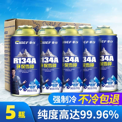 R134A Refrigerant Car Refrigerant – Antifriz - 5-bottles-of-snow