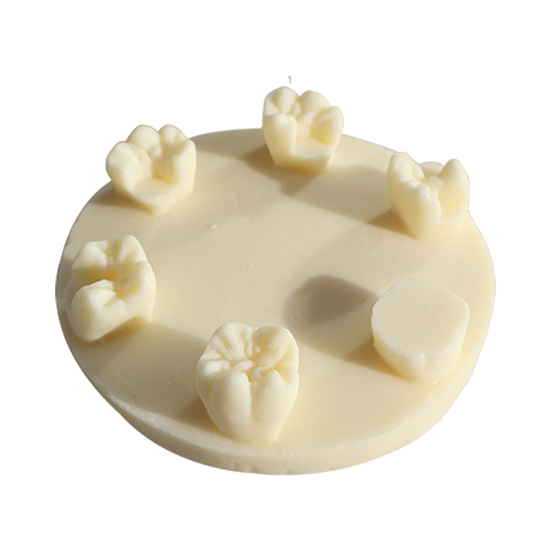 Ejercicios de rellenos de canales radiculares de dientes Inserción de resina Modelo de ejercicio de examen Ejercicios dentales Bloques de resina