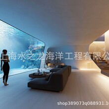 亚克力大型鱼缸水下景观鱼缸生产 海洋馆大型水族箱制作厂家定 制