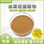 水溶油菜油菜花提取物
