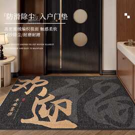 入户门地垫2024新款进门门口脚垫高端防滑耐脏玄关地毯门外蹭脚垫