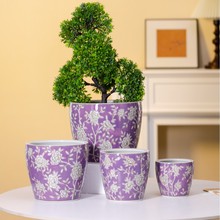 �մɻ��莧����ɫ��������m�ɻ������L�໨��������辰���ܾGֲ