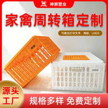 厂家定制鸡笼转运箱 养殖场用运输笼通风转运箱 定制鸡鸭运输笼