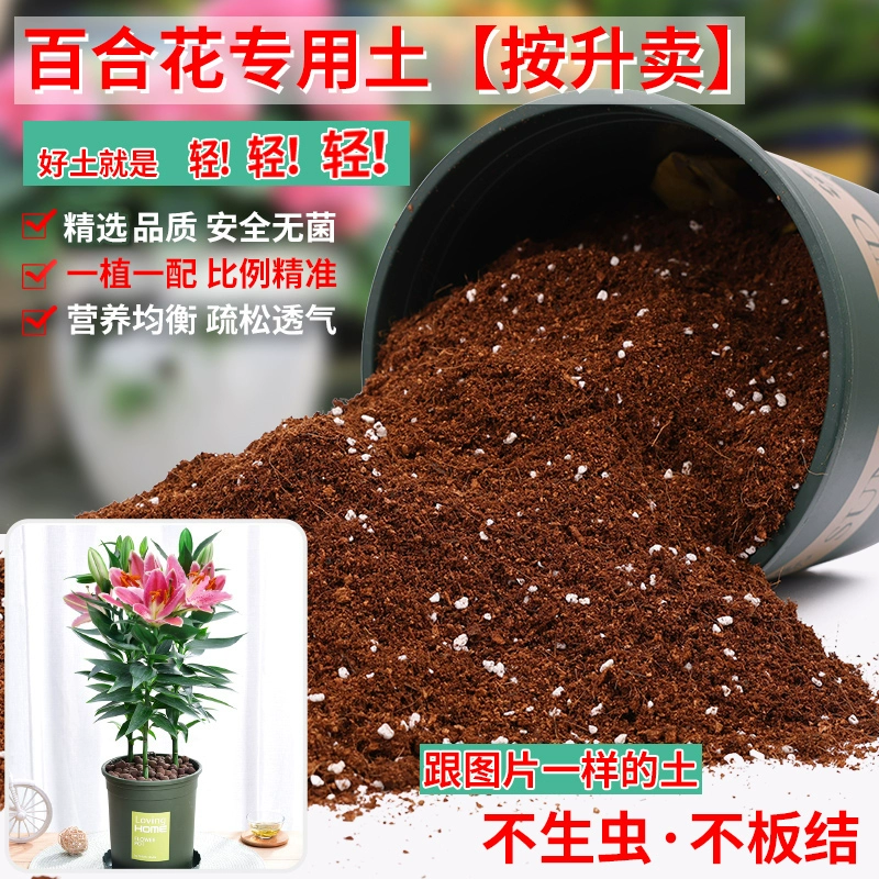 Лили выделенная почва питательная почва для выращивания цветов