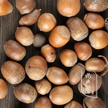 材橡子1斤橡籽 橡实 栎树果 橡果橡栗