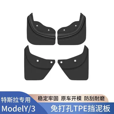 Tesla's 25 New Model Versions of: Mudguard
