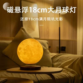 塑料工艺品;展示架;其他装饰摆件