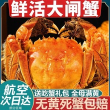 �r����lз��ĸ�з���r���rˮ�a�Y��6/12ֻ���K�K�ݰl؛Ⱥľ���b