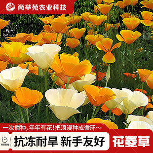 ����ݷN�����������N�Ӵ����_��¶�컨�����N����ͥԺ�̨����