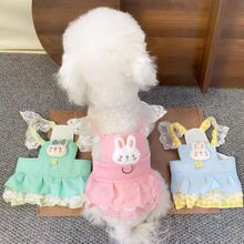 ���ﹷ���·�����ȹ��С��Ȯ̩�ϱ��ܼs�����ļ�����ɒ젿���K��