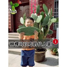 ��ʳ�������� ���� ���rș�� ��� �ȷ���������ī�����װ���ֲ��