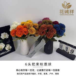 �������6�^�[������滨�羳���R�d���ٻ���@�[�������廨���l