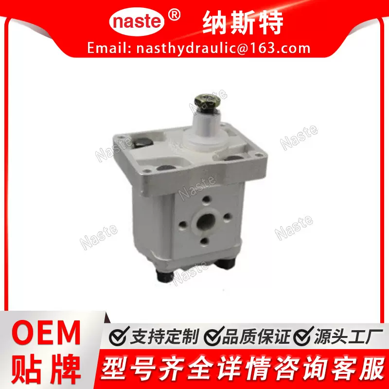 菲亚特 A33XP4MS 8129483 5179719 8280127 5129438 液压齿轮泵