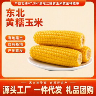 �������rŴ����ճ��SŴ����Ŵ������՜p�Ǽ�ʳ֬�|��Ŵ�������l