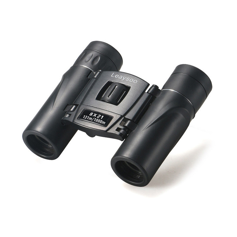 雷龙高清高倍双筒望远镜迷你便携微光夜视出行旅游演唱会望眼镜