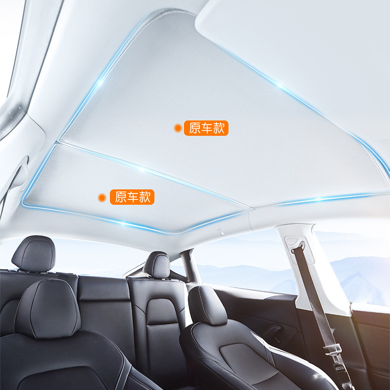 Tesla, canopy, 2023 collection