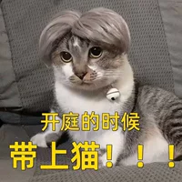 Новый парик для домашних животных Кун с кошачьим серебряным головным убором собака икун с тем же разделом головы производители оптом