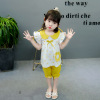 Summer summer clothing, children's set, 2021 collection, children's clothing, wholesale, Korean style