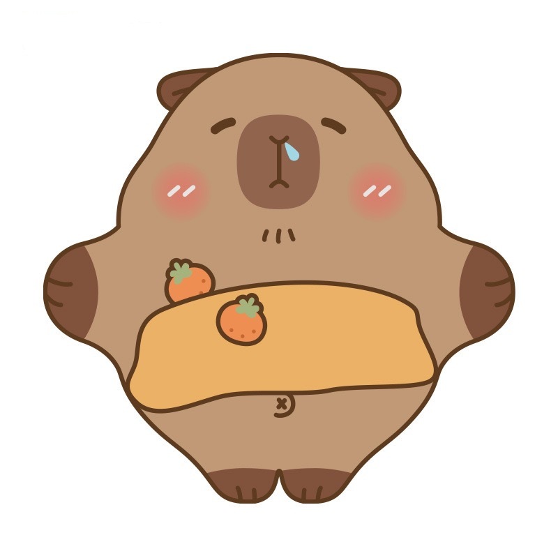 Kapibala Velcro Storage Cloth Camera Digital Dustproof and Dirty Resistant Self-Adhesive Cloth Storage Product Cartoon