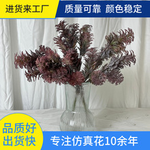 ���滨С���������ϻ��羳���NС�ɹ���Ȧ����ٹ������~�ٻ����