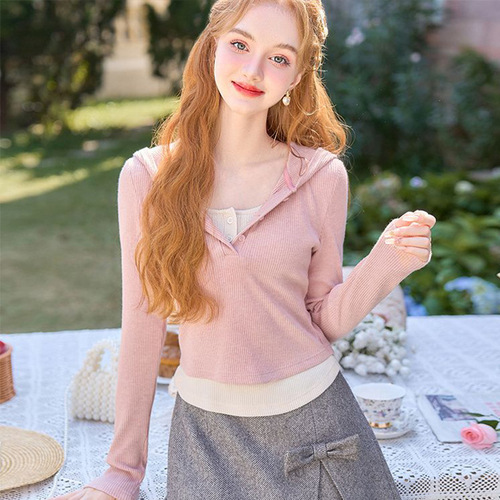 Glamorous Hong Kong-style trendy hooded design long-sleeved women's early spring high-end faux two-piece top slim-fitting versatile slimming T-shirt