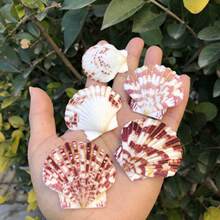 ����ؐ��ɫ��ؐ��Ȼ���ݴ�ؐ���~���쾰��̨���⠝�N�b��Ĕz�[��