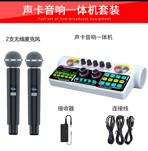 S900 New Product Live Stream Sound Card Audio All-in-One Bluetooth Speaker Outdoor Indoor Square Dance Karaoke Dedicated