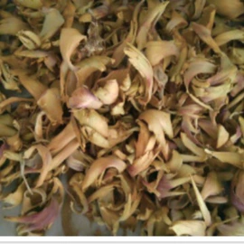 植物提取物;其他农业;其他冲调饮品