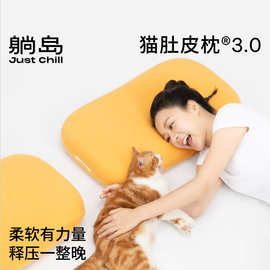 躺岛猫肚皮枕3.0记忆棉枕护颈安睡枕单只成人枕跨境新品侧睡
