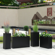 �ۘǲ����⻨��F�����sС�^�Fˇ���� �����ֵ��V���G�������M��