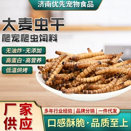 观赏鱼饲料;水族宠物饲料